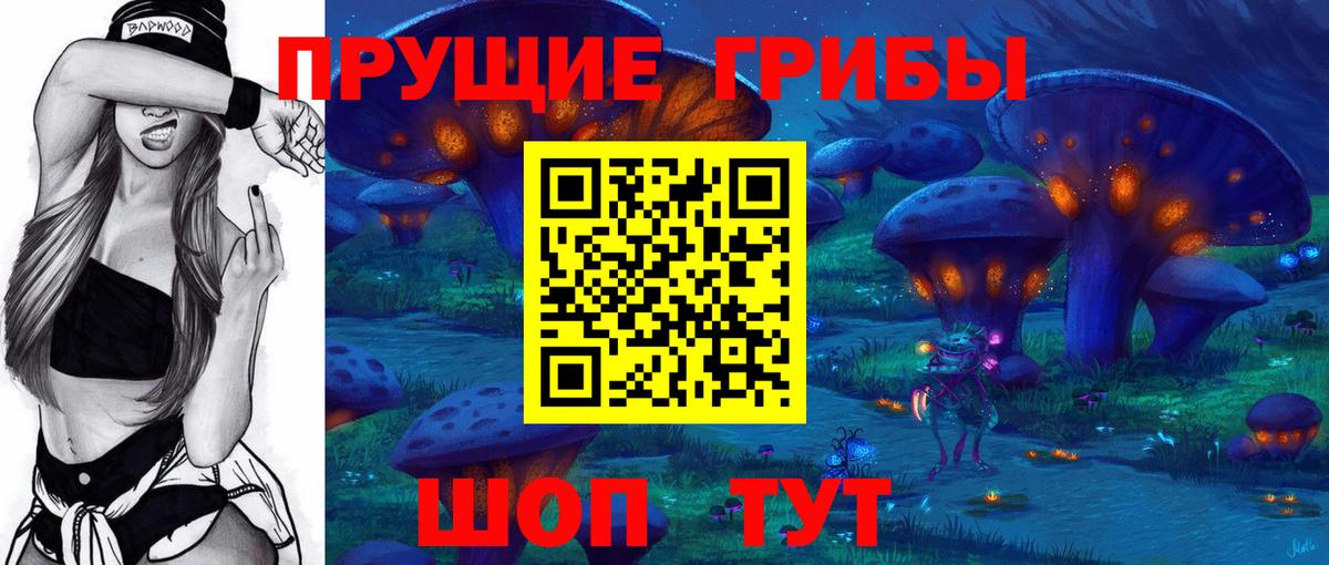 Галлюциногенные грибы Cubensis  купить наркотик  Верхняя Пышма  Псилоцибиновые грибы мухоморы  Вход с VPN 