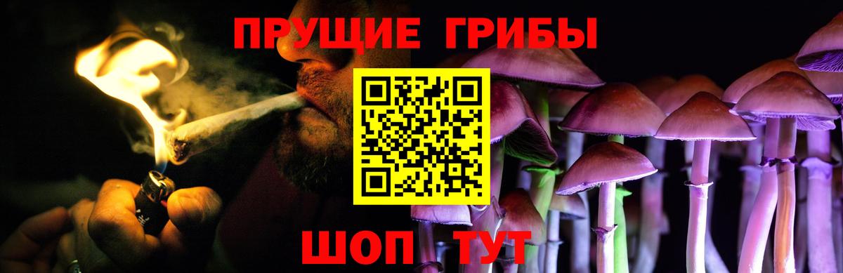 Галлюциногенные грибы Magic Shrooms Верхняя Пышма